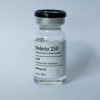 ROHM Testosterone